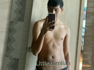 Littledamiian