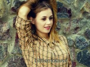 Littlemouuse