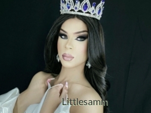Littlesamm
