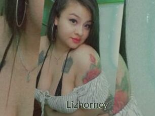 Lizhorney