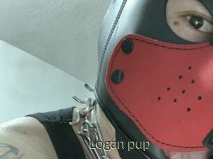 Logan_pup