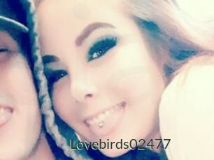Lovebirds02477