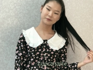 Luecanarte