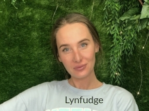 Lynfudge