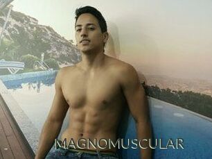 MAGNOMUSCULAR