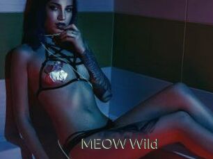 MEOW_Wild