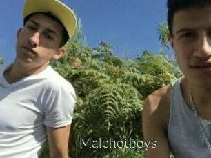 Malehotboys