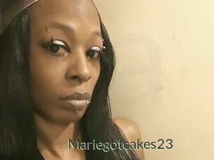 Mariegotcakes23
