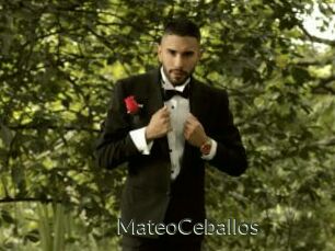 MateoCeballos