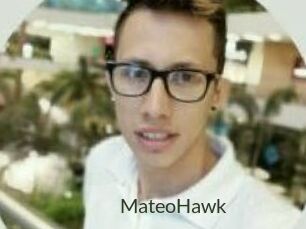MateoHawk