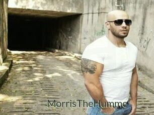 MorrisTheHumme