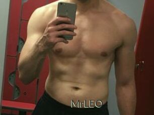 MrLEO