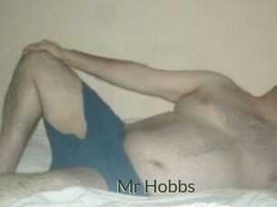 Mr_Hobbs