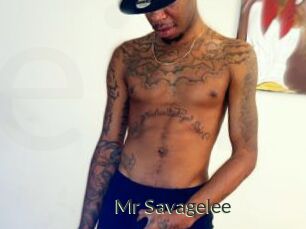 Mr_Savagelee