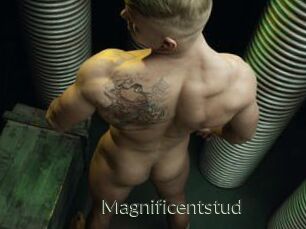 Magnificentstud