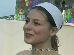 Malvinesley