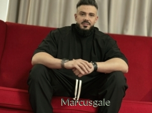 marcusgale Ejaculator