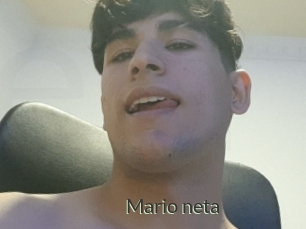 Mario_neta