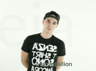 Mattestallion