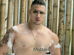 Mattseil