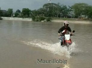 Maurillobig