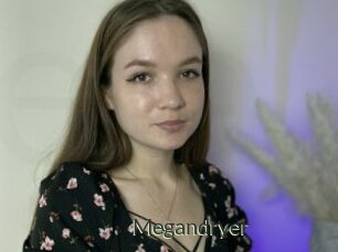 Megandryer