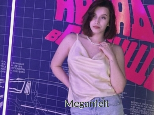 Meganfelt