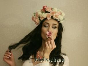 Meilssalissa