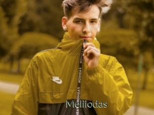 Meliiodas