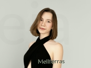 Mellferras