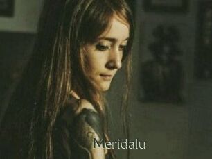 Meridalu