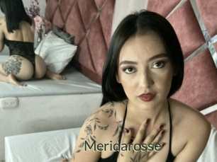 Meridarosse
