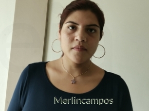 Merlincampos