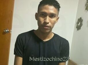 Mestizochino23