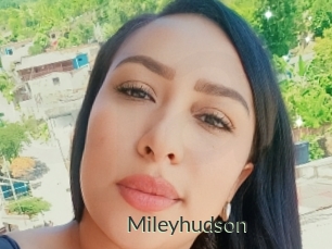 Mileyhudson