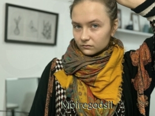 Moiregodsil