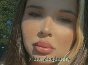 Moneybagbunny
