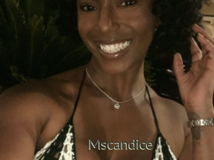 Mscandice