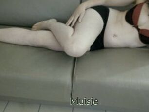 Muisje