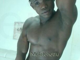 Mulatohotfu