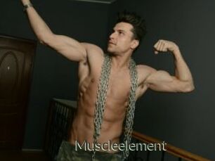 Muscleelement