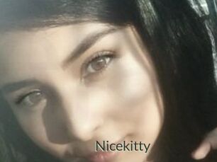 Nicekitty