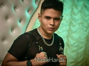 NoahHarris