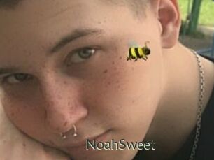NoahSweet