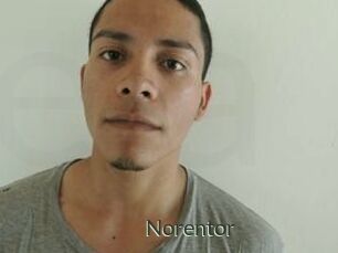 Noren_tor