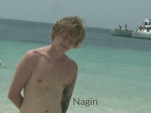 Nagin