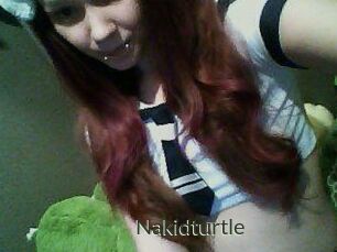 Nakidturtle
