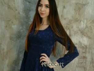 Nicecatt