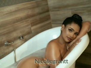 nicollegrantt Ejaculator