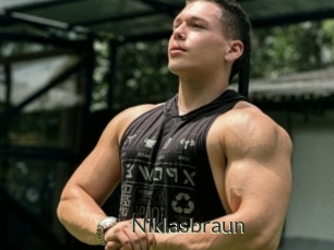 Niklasbraun